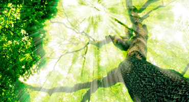 Sustentabilidade